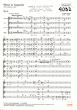 Missa in Angustiis