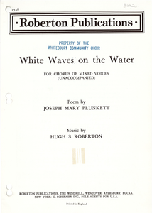 White Waves on the Water