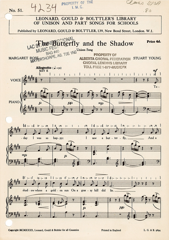 Butterfly and the Shadow, The